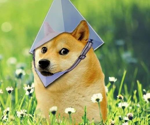 Doge with Ethereum Hat